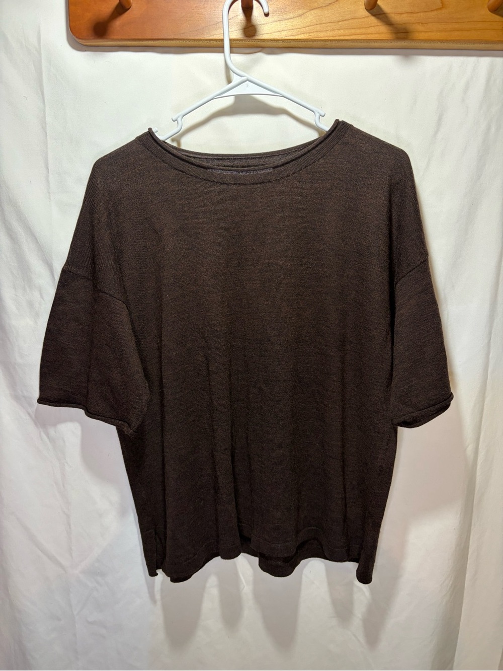 Max Studio 100% Merino Wool Short-Sleeve Crewneck Sweater - Brown
